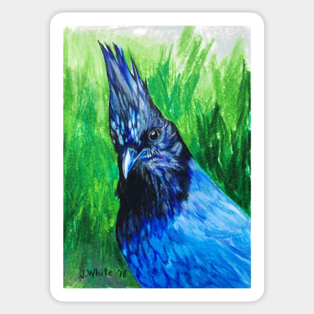 Stellers Jay Sticker by jenesaiscluck